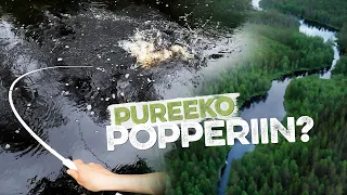 ISKEEKÖ POPPERIIN? Kalareissu uudelle metsäjoelle