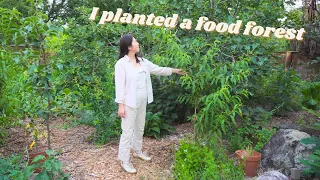 From lawn to permaculture food forest - how I transformed my backyard in 5 months