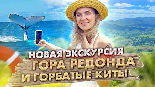 Горбатые Киты в заливе Самана и Гора Редонда - новая экскурсия!