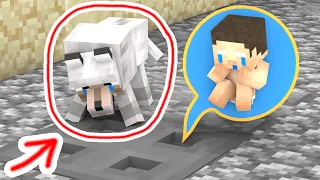 Monster School : BABY HEROBRINE and DOG - Sad Story - Minecraft Animation