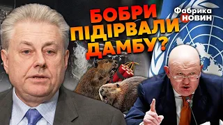 👊ЄЛЬЧЕНКО: оце так! ООН ЗДИВУВАЛА реакцією на ПІДРИВ ДАМБИ. РФ зробила фокус і ВСІХ РОЗВЕЛА