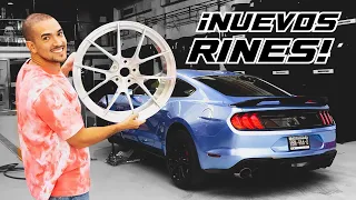 ¡NUEVOS RINES AL MUSTANG SHELBY GT500! | JUCA