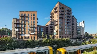 The World's Largest Timber Building