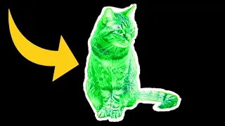 Would You Use This Cat To Detect Radiation?