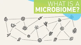 What is a microbiome?