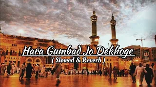 ||Hara Gumbad Jo Dekhoge|| (slowed & Reverb)-naat💚2024