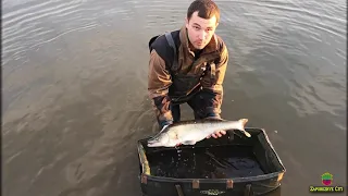 Судак. Зарыбление спортивного водоема Лагуна 2