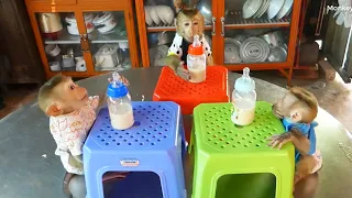 Three Orderly D0nal Molly & Calmly_Girl Zuji Sitting Wait Milk, Three Happy With Their Morning Treat