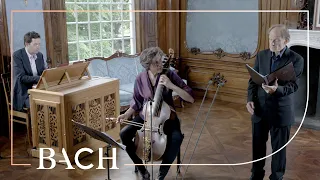 Bach - Komm, süsser Tod, komm selge Ruh! BWV 478 - Daniels | Netherlands Bach Society