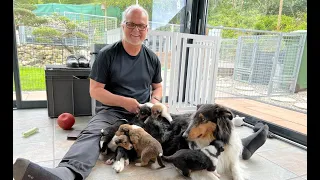 A great day to move - puppy room invaded