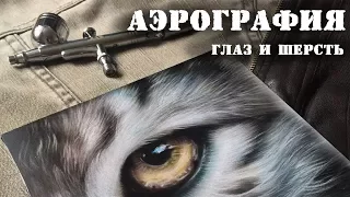 Аэрография. Кот