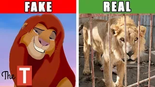 The Disturbing Real Story Behind The Lion King