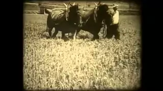 Landwirtschaft gestern: Ackerbau in der Schweiz um 1936