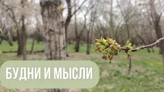 БУДНИ И МЫСЛИ 🎥 Дарсонваль 🧐 Весна🌷