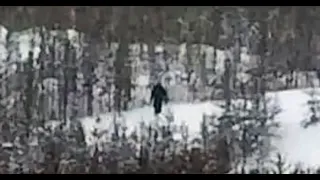 THIS INSANE FOOTAGE OF A MASSIVE YELLOWSTONE NATIONAL PARK BIGFOOT WAS CAPTURED ON A CCTV CAMERA!!