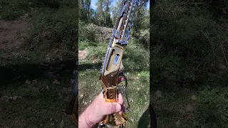 24K Gold Lever Action Rifle