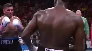 Уайлдер издевается. # WARRIORS/UFC/MMA/BOXING