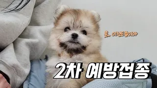 2023/Oct/19 - 오늘의 토리