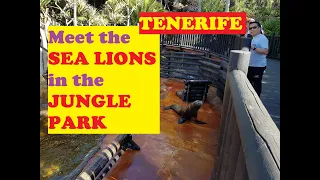 Sea Lion Show Jungle Park Tenerife 2019