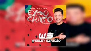 Wesley Safadão - Rei Da Farra | Download