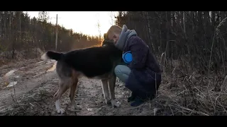 Прожили год с псом из приюта! Как дела у нас с Бошаром?