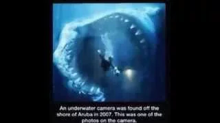 20 Scary Images That Will Keep You Out Of The Ocean!