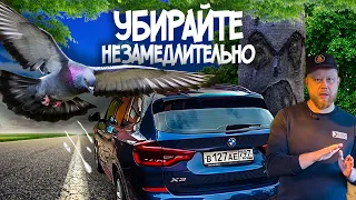 7 ОПАСНЫХ ЗАГРЯЗНЕНИЙ ДЛЯ АВТОМОБИЛЯ