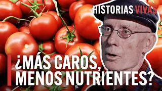 Secretos de la industria del tomate: ¿Más caros y de peor calidad? | Historias Vivas | HD Documental