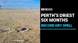 Perth notches up its driest six month since records began almost 150 years ago. | ABC News