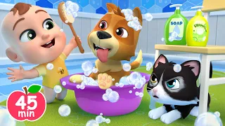 Bingo Pet Store +More Lalafun Nursery Rhymes & Kids Songs