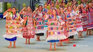 Espectacular Baile FLOR DE PIÑA | Guelaguetza 2019