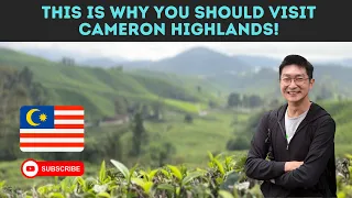 This is why you should visit Cameron Highlands, Malaysia