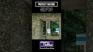 Protect Nature - Malaysia - Penang Hidden Gem - Nibong Tebal - Forest - Ep4 - Part 5