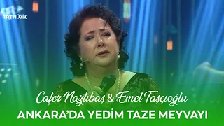 Cafer Nazlıbaş & Emel Taşçıoğlu - Ankara'da Yedim Taze Meyvayı #YürekSazı