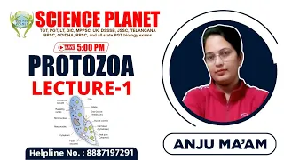 LECTURE 1 || PROTOZOA || BY ANJU MAM