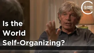 Stuart Kauffman - Is the World Self-Organizing?