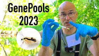 GenePools 2023 - What's Living in your Pond?