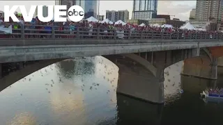 Bat Fest back in Austin | KVUE