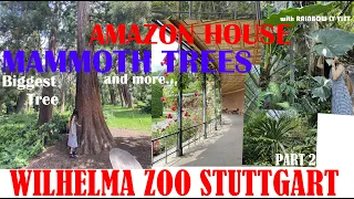 Biggest tree MAMMOTH TREES, AMAZON HOUSE & more 30ha| WILHELMA ZOO Stuttgart Part 2 |Rainbow Ly Viet