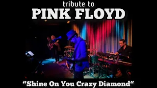 Pink Floyd - Shine On You Crazy Diamond (Cover)