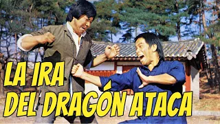 Wu Tang Collection - La Ira Del Dragon Ataca  ( Iron Fisted Eagle Claw)