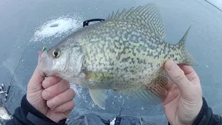 Late Ice Crappie Beatdown with 24" JT Panhandler (Crappies love the Eurotackle gamma scud)