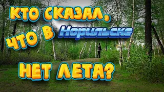 Лето в Норильске. Талнах, летняя прогулка  В Норильске тоже есть лето. #норильск #талнах