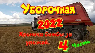 Уборочная страда 2022 года.Часть 4. Золотая середина пройдена. Отчет за период с 14 по 21 сентября.