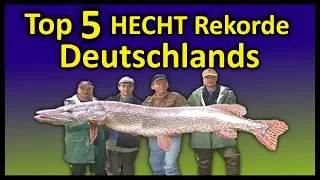 Top 5 Rekord HECHTE Deutschlands | 1,46 Meter Hecht