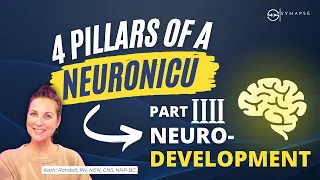 NICU Neuro Developmental Care- Part 4 of 4 - Every NICU is a NeuroNICU | Free Nursing CE + Education