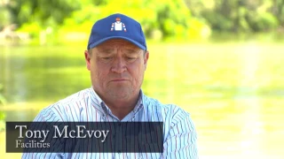 What does Tony McEvoy look for in a yearling?