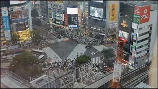 Visiting Tokyo for the first time, (Shibuya) Japan,  June 2023