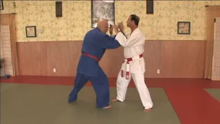 Mushin No Shin - Flow Into the Technique