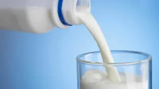 Composition & Nutritive Value of Milk (1.8): Dr. Mandal PK